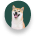 Icon chiba mobile fond vert