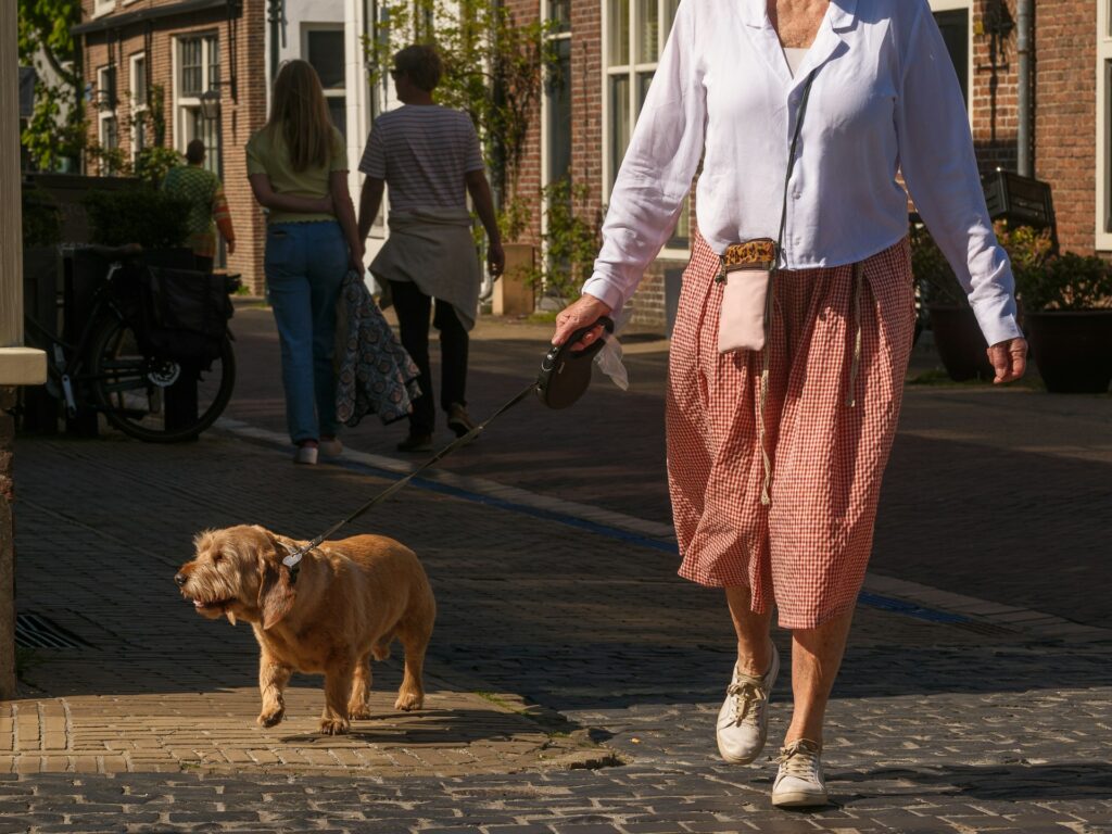 Promenade chien : un allié essentiel pour le bien-être de votre compagnon