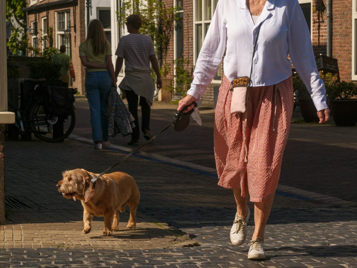 Une femme en train de promener son chien