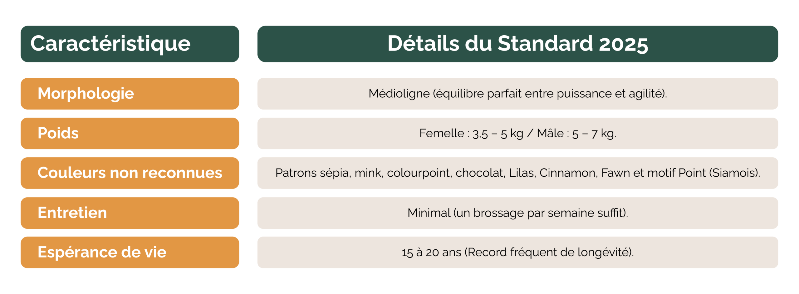 tableau décrivant les caracteristiques du chat européen tel que sa morphologie, poids ect..